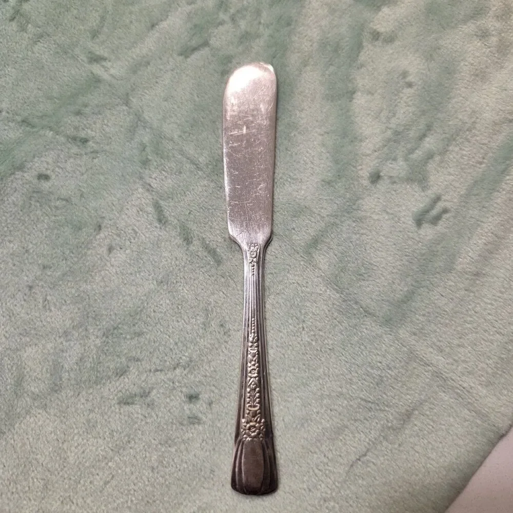 International Silver diplomat silver